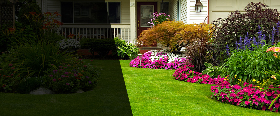 Hollandale Landscapers