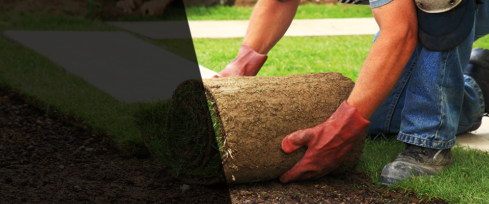 Hollandale Landscapers
